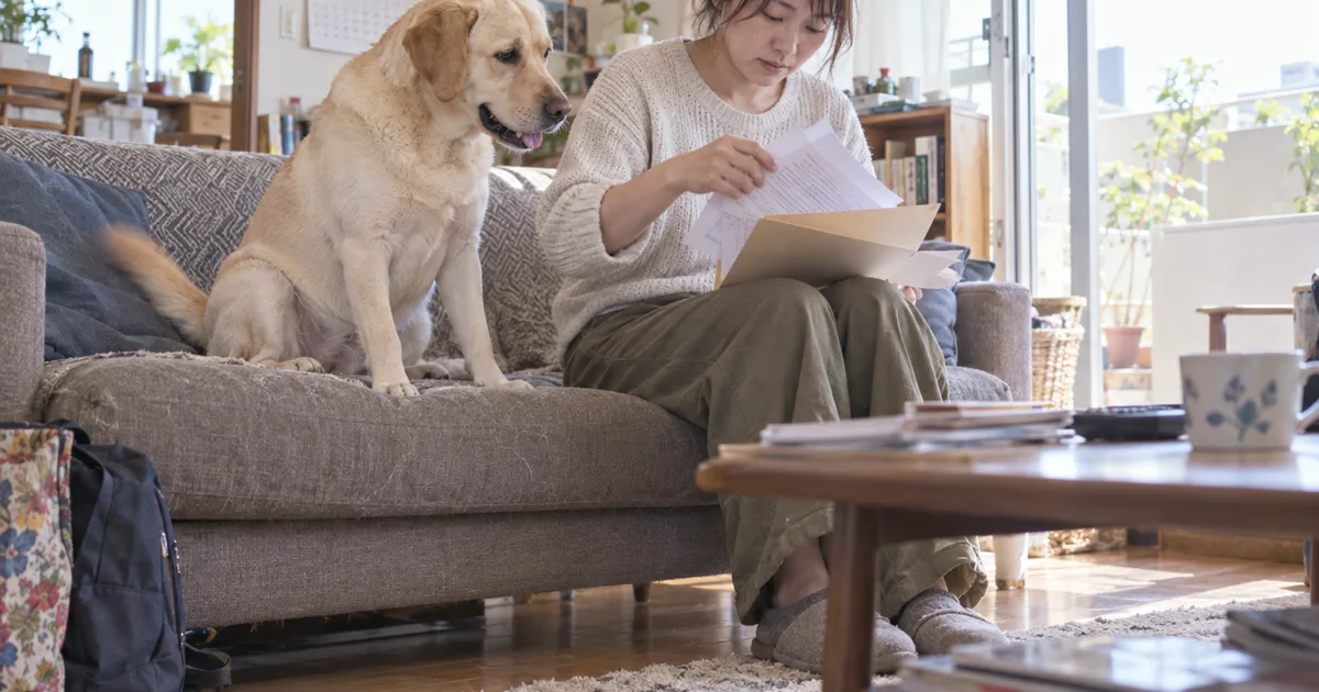 ソファで書類をファイルに整理する30代の女性と、隣で見守るラブラドールレトリバー